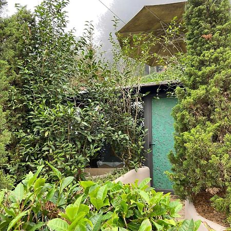 Hippie Home موك تشاو المظهر الخارجي الصورة