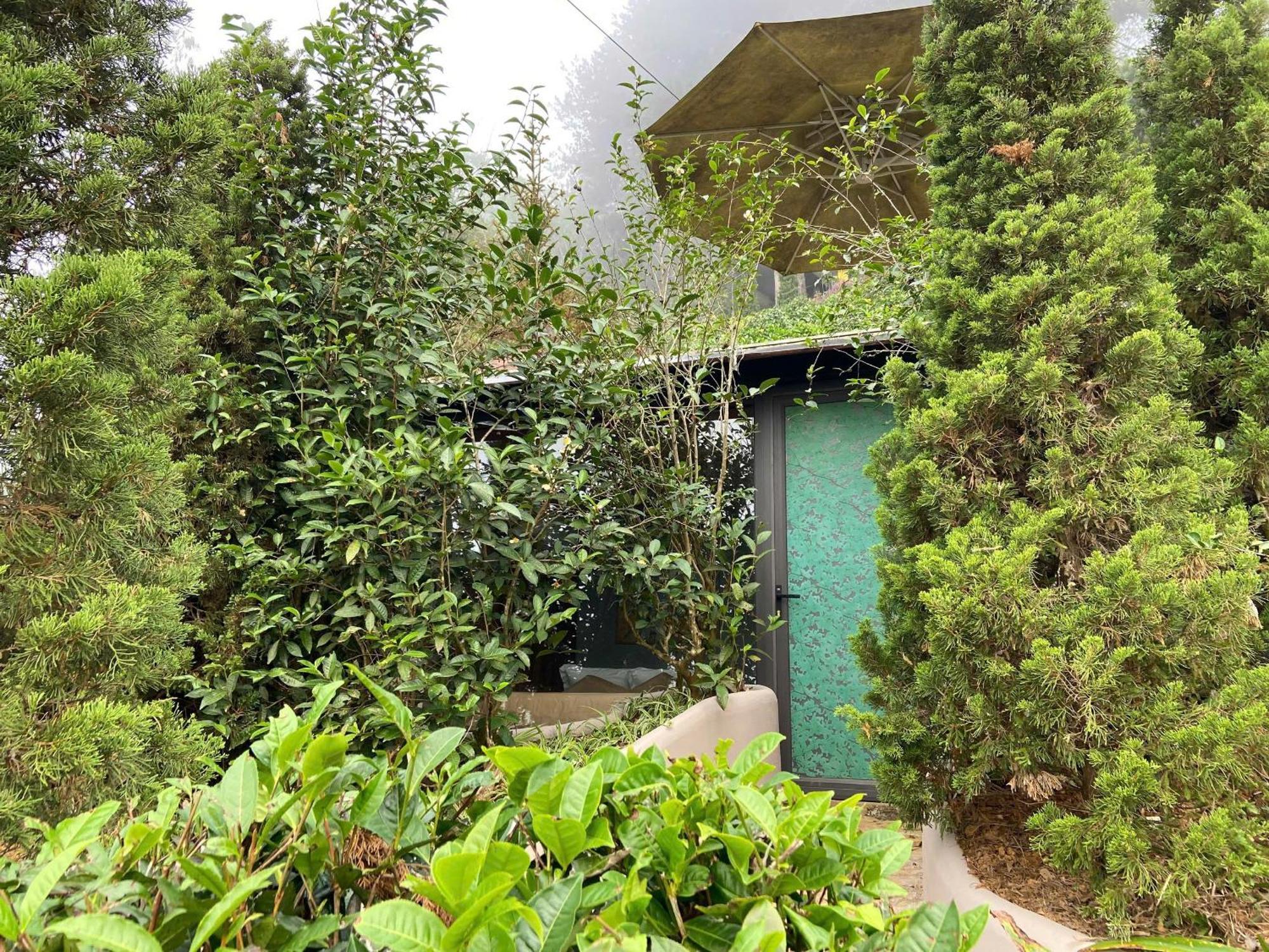 Hippie Home موك تشاو المظهر الخارجي الصورة